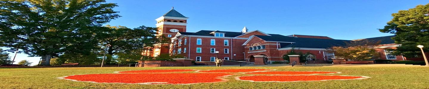 Clemson University banner